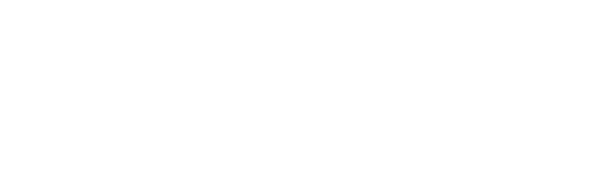 Sandeen and Lee Plastic Surgery